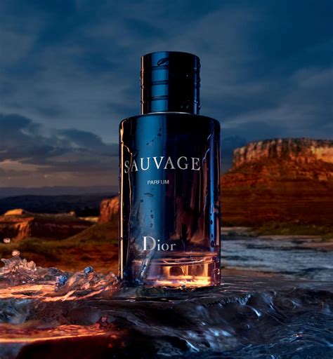 dior sauvage 100ml idealo de|sauvage von dior preiswert.